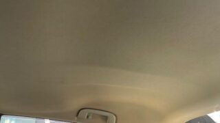 プリウスやに汚れ画像。 e1774620209677