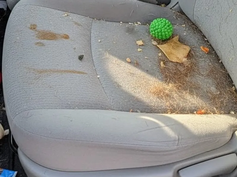 長距離通勤車の加齢臭と嘔吐汚れの徹底洗浄