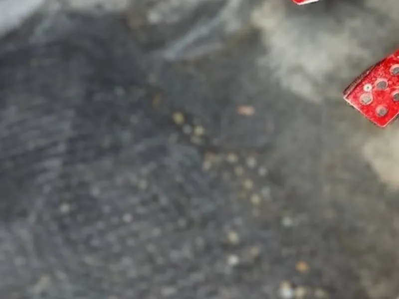 【長久手市】トヨタ・ヴォクシーの食べこぼし清掃！隙間のカスとダニ対策の施工事例